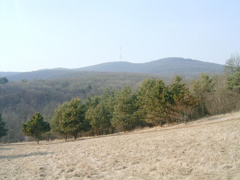 20110312 062.jpg